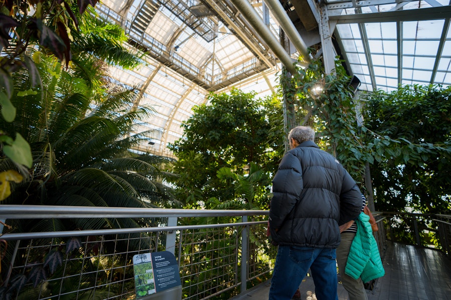 Visitors walk along a balcony surrounded by tropical plants inside the U.S. Botanic Garden conservatory.