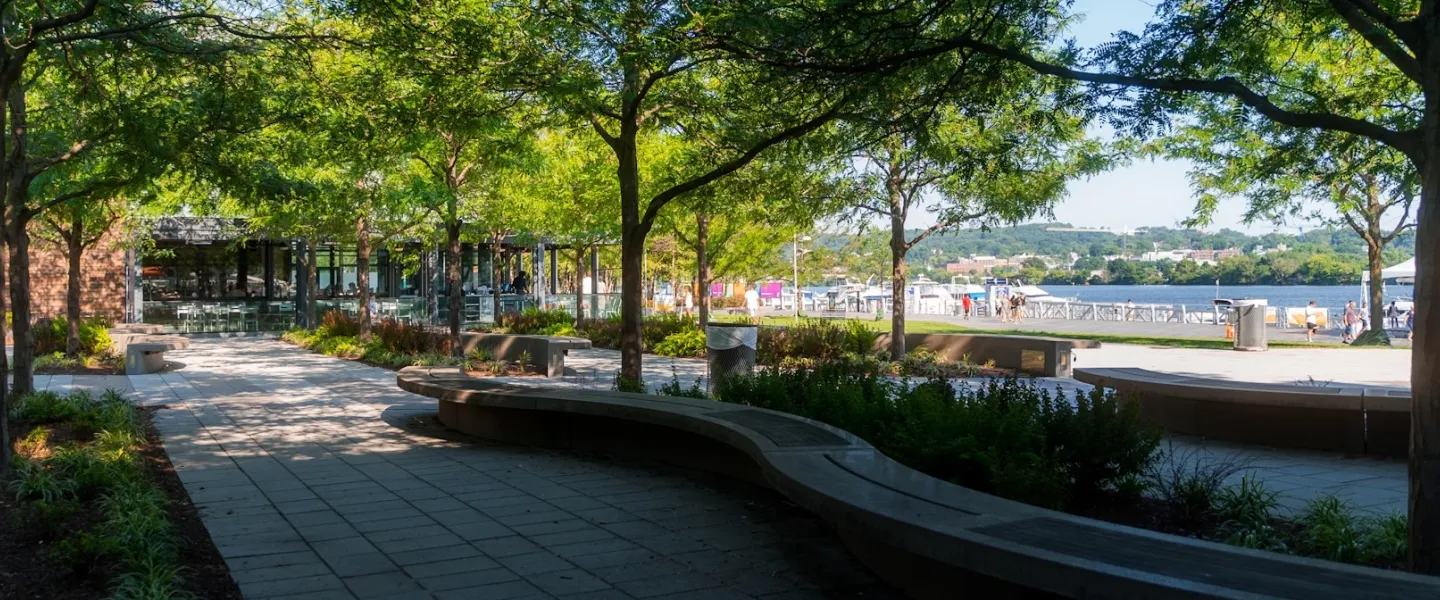 A tree-lined path leads to a waterfront promenade at Yards Park on a sunny day.