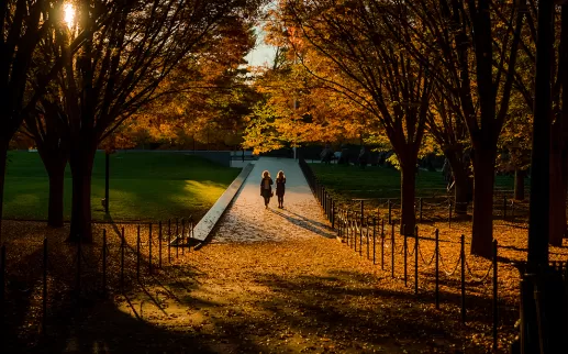 National Mall in Fall