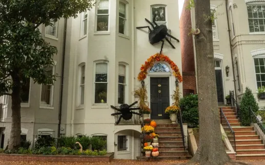 A row of town homes in Georgetown with Halloween decorations, including two large spiders and pumpkins. 
