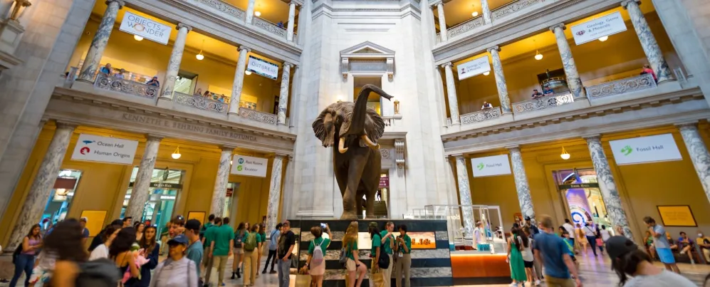 Interior of the Museum of Natural History with the famous taxidermy elephant at the center. 